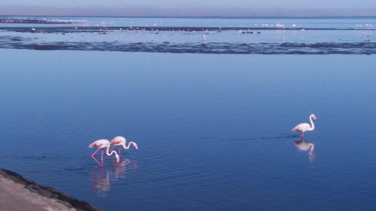 Haus Schaaf B&B Walvis Bay Bagian luar foto