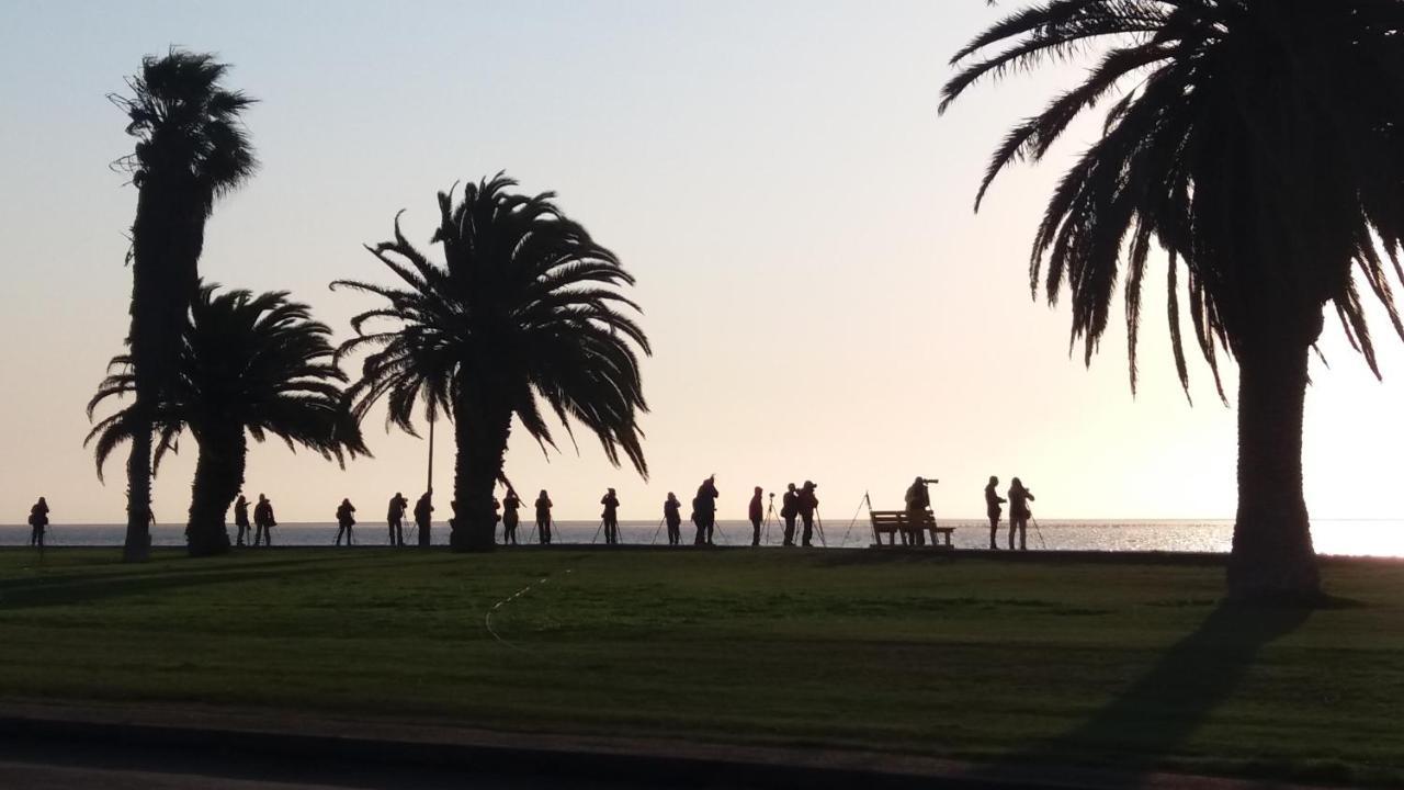 Haus Schaaf B&B Walvis Bay Bagian luar foto